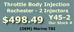 Rochester Y45-2 Throttle Body Injection (TBI) with 2 injectors from flyingfishcarburetors.com